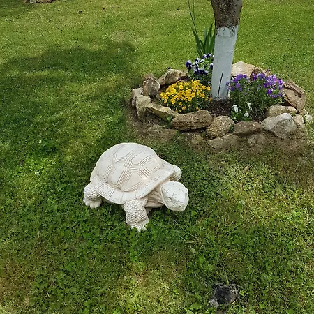 Il Brigante 호텔 3*