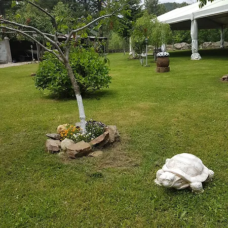 호텔 Il Brigante 3*