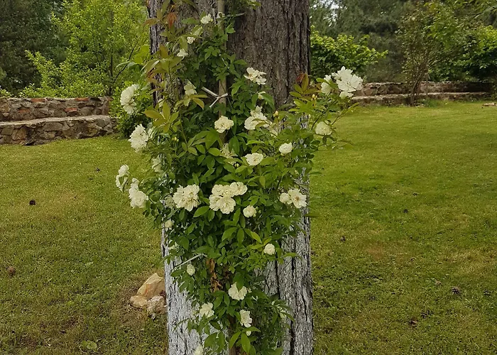 Il Brigante Cotronei